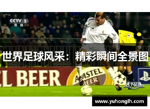 世界足球风采：精彩瞬间全景图