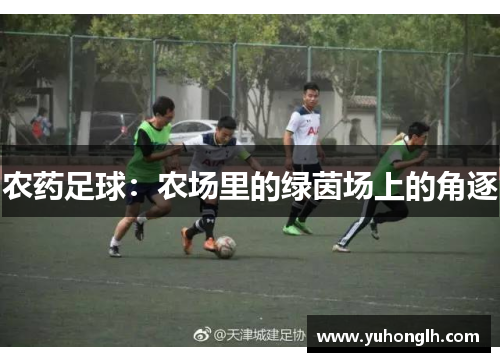 农药足球：农场里的绿茵场上的角逐