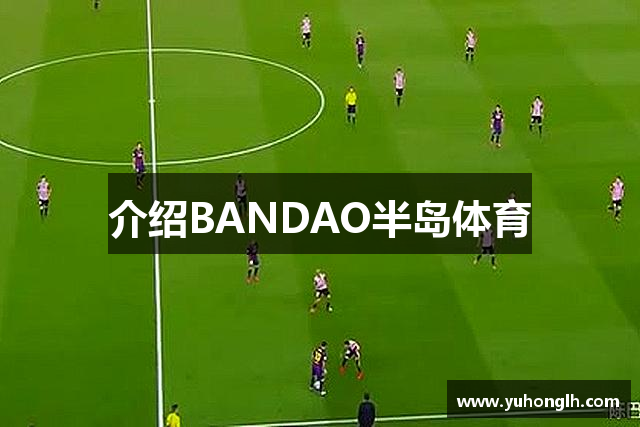 介绍BANDAO半岛体育